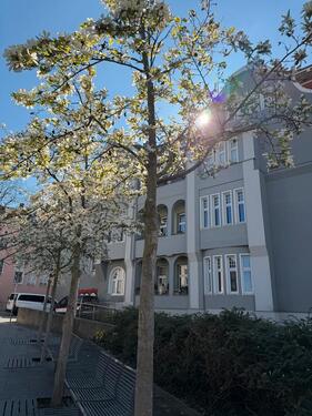 Foto - Dachgeschoßwohnung in Cottbus zur Miete