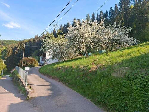 Foto - 7 Zimmer Einfamilienhaus zum Kaufen in Dornhan