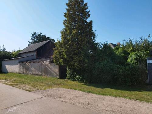 Foto - Einfamilienhaus in Peitz