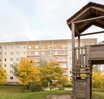 Neues Zuhause gefunden im 