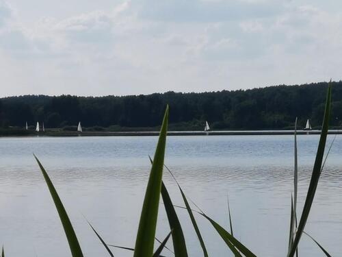 Foto - Etagenwohnung in Niesky zur Miete