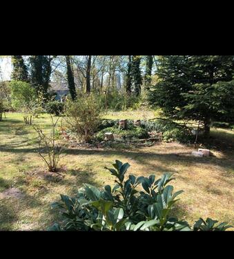 Foto - Einfamilienhaus in Werder (Havel)