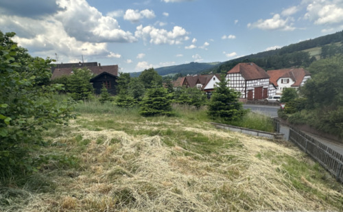Foto - Attraktiver Bauplatz in sonniger Lage in Steinau -ERBPACHT-