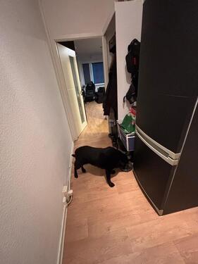 Foto - Etagenwohnung in Rostock zur Miete