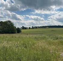 Hier wollen wir bauen! - 115.000,00 EUR Kaufpreis, ca.  0,00 m² in Reichenbach im Vogtland (PLZ: 08468)