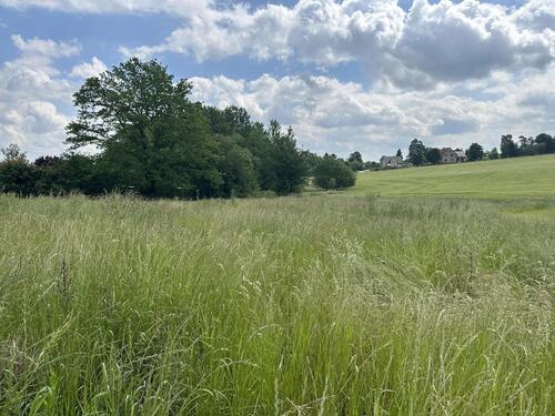 Foto - Grundstück zur Miete in Reichenbach im Vogtland