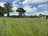 Foto - Grundstück in Reichenbach im Vogtland