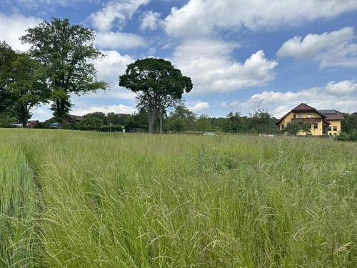 Foto - Grundstück in Reichenbach im Vogtland