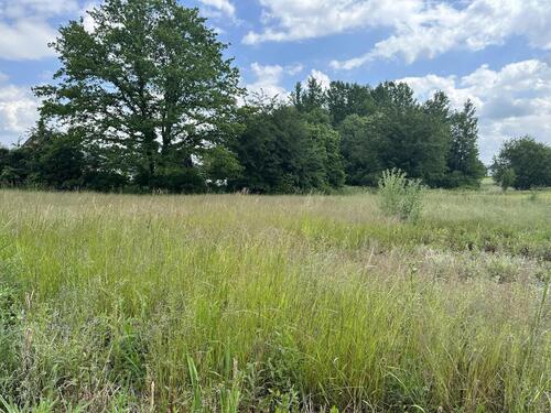 Foto - Grundstück in Reichenbach im Vogtland zur Miete