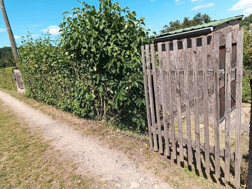 Foto - Grundstück in Glashütte zur Miete