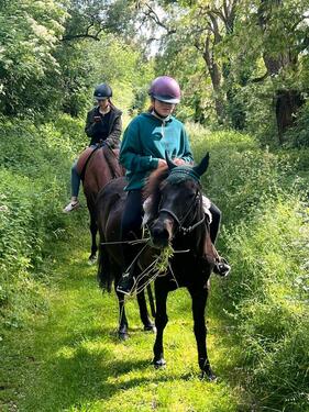 Foto - andere zur Miete in Homberg (Efze)