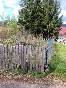 Foto - 7 Zimmer Einfamilienhaus zum Kaufen in Freiburg im Breisgau