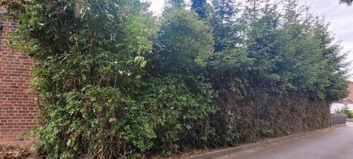 Foto - Einfamilienhaus in Hötensleben zum Kaufen