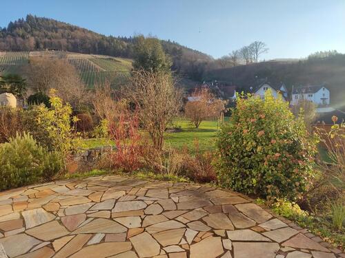 Foto - wunderschöne, sonnige 2-Zimmerwohnung mit tollem Ausblick ins Rheintal und auf Weinberge