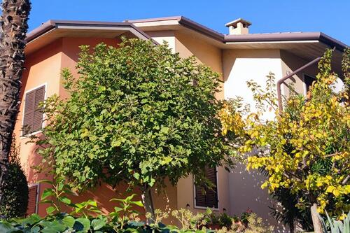 Foto - andere zur Miete in Pöcking