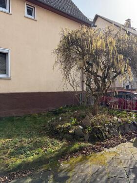 Foto - 7 Zimmer Einfamilienhaus in Buseck