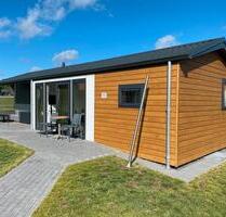 Modernes Ferienhaus Lübecker Bucht Chaletpark Süsel, Hunde erlaub - Emmerthal