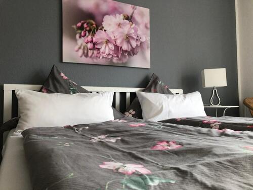 Foto - Urlaub auf dem BauernhofOstseeHundbarrierefrei 1.5.-8.5.26