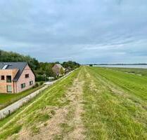 Ferienwohnung direkt am Eiderdeich Nordsee mit Hund - Tönning