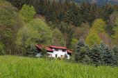 Foto - Ferienhaus Bayerischer Wald Traumlage Alleinlage Mai+JuniJuli