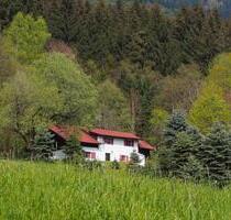 Ferienhaus Bayerischer Wald Traumlage Alleinlage Mai+JuniJuli - Bernried