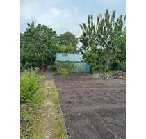 Schrebergarten in Preetz - 900,00&nbsp;EUR Kaltmiete, ca.&nbsp; 0,00&nbsp;m&sup2; in Preetz (PLZ: 24211)