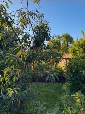 Foto - Grundst&uuml;ck in Preetz
