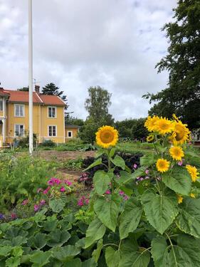 Foto - andere zur Miete in Kiel
