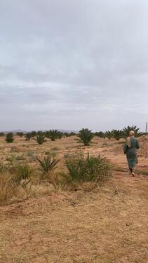 Foto - andere zur Miete in Düsseldorf