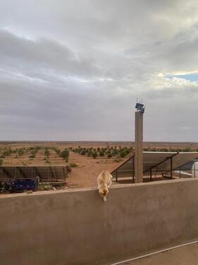 Foto - andere in Düsseldorf