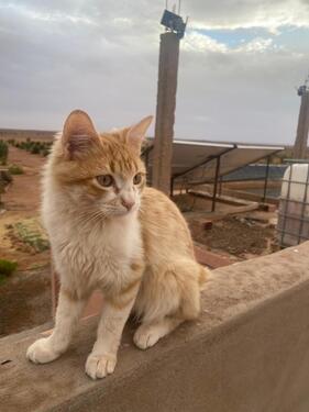 Foto - andere in Düsseldorf zur Miete