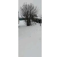 PKW Stellplatz Feriengebiet Seeweiher - Mengerskirchen