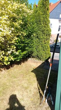 Foto - Grundst&uuml;ck in Marburg zur Miete