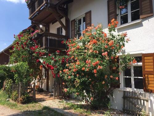 Foto - Zu verkaufen 160 qm 4 Zi. Wohnung im Landkreis STA