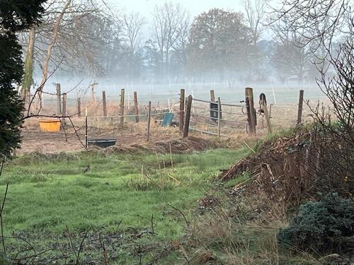 Foto - Großzügige 3 Zimmer Dachgeschosswohnung Engelbostel, Schulenburg