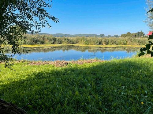 Foto - Grundst&uuml;ck zur Miete in Premnitz