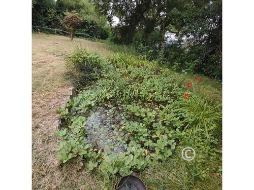 Foto - 4 Zimmer Einfamilienhaus zum Kaufen in Rückersdorf