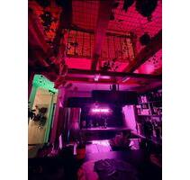 Industrial Cyberpunk Penthouse (Maisonette) Nähe Stadtpark Fürth