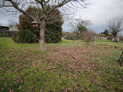 Foto - Grundst&uuml;ck zur Miete in Droyßig