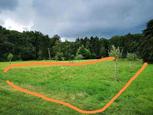 Foto - Streuobstwiese Freizeitgrundstück Wiese Garten