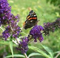 Wohnung im Außenbereich Wiggensbach