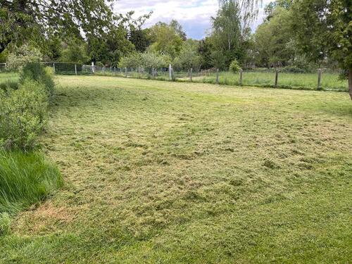 Foto - Grundst&uuml;ck zur Miete in Solms