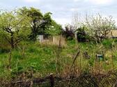 Foto - Kleingartenparzelle - Reutershagen Gartenstadt