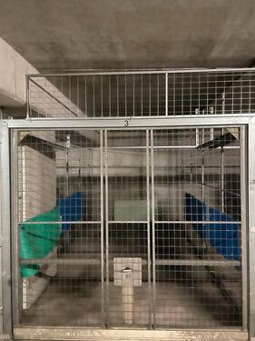 Foto - andere in Freiburg im Breisgau zur Miete