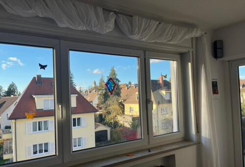 Foto - Helle 2-Zimmerwohnung in zentraler Lage, WG-geeignet