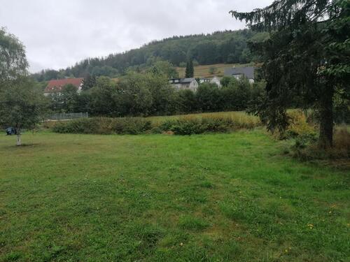 Foto - Tinyhouse Grundstück 30km von Marburg für 5 Häuser auf der Wiese