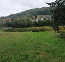 Tinyhouse Grundstück 30km von Marburg für 5 Häuser auf der Wiese - Angelburg