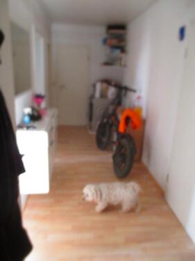 Foto - 