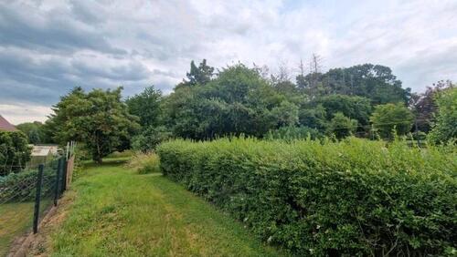 Foto - 4099qm Wald Grundstück Pferdekoppel Tier Pacht outdoor Gartenland