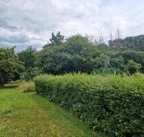 4099qm Wald Grundstück Pferdekoppel Tier Pacht outdoor Gartenland - Ahlsdorf